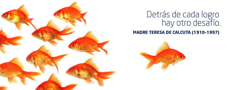 Las oportunidades pequeñas son el principio de las grandes empresas